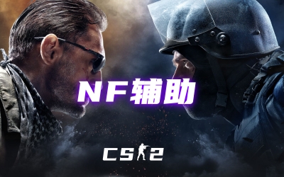 CS2NF辅助