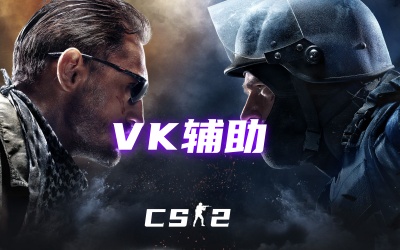 CS2VK辅助